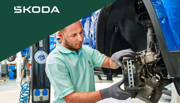 placute de frana skoda elcargid